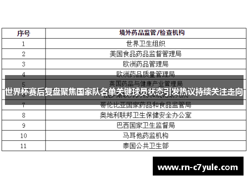 世界杯赛后复盘聚焦国家队名单关键球员状态引发热议持续关注走向